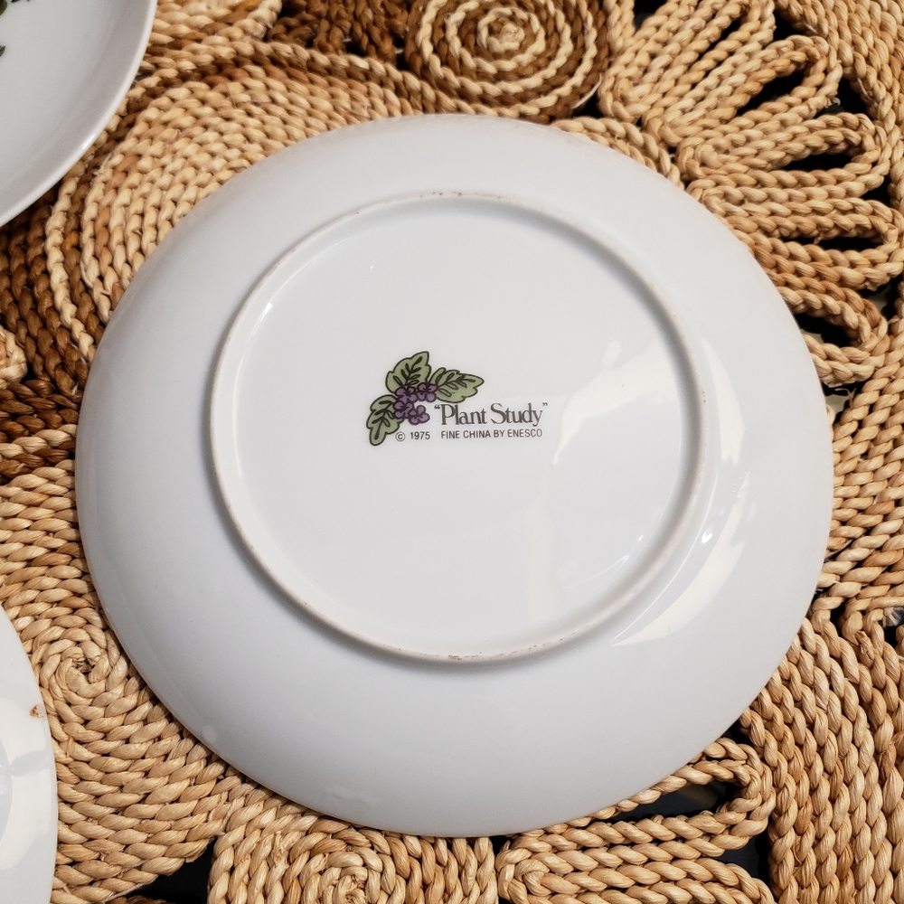 Enesco | Vintage Plant Study 1975 houseplant plate - Picture 5 of 8